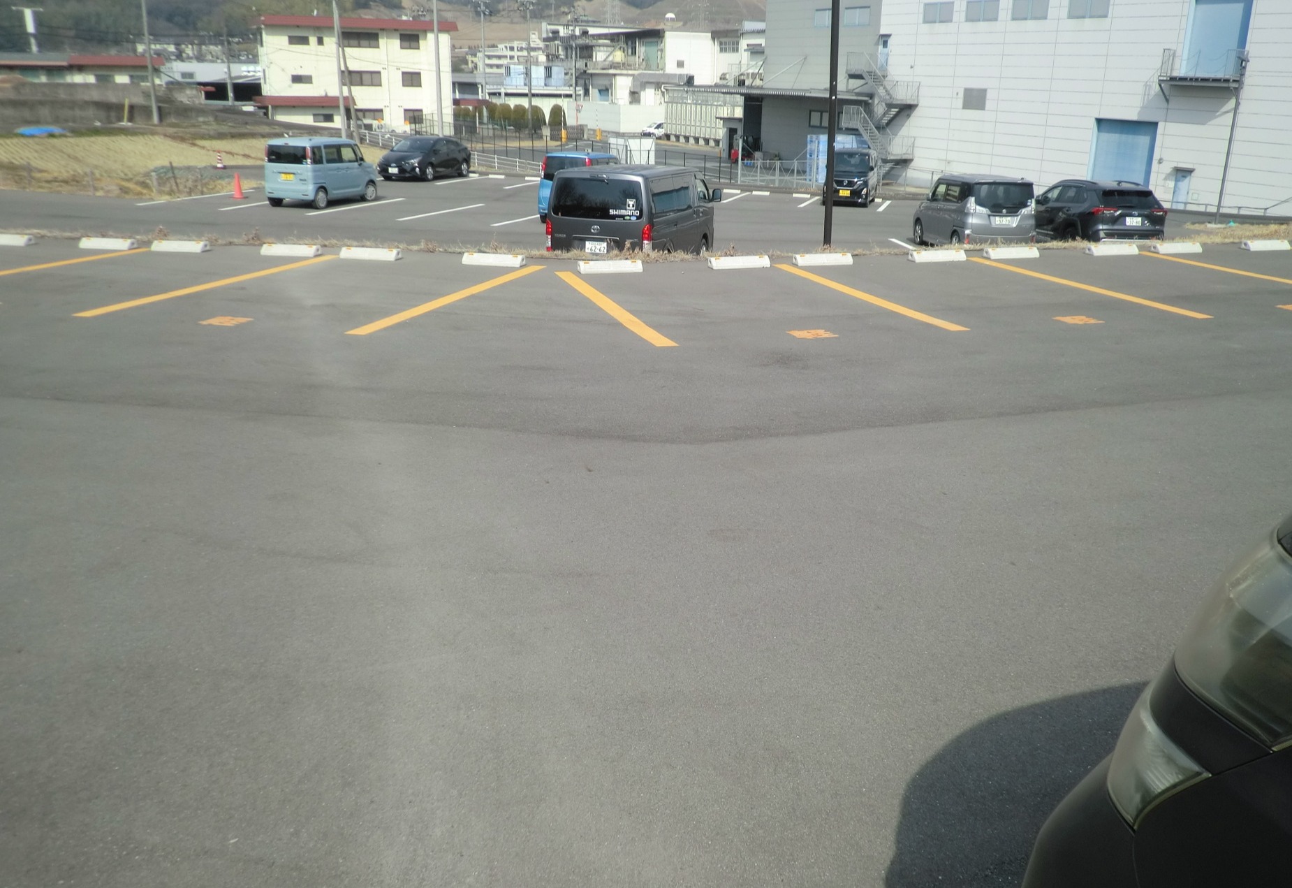 CIMG4533_Crop Image (1)