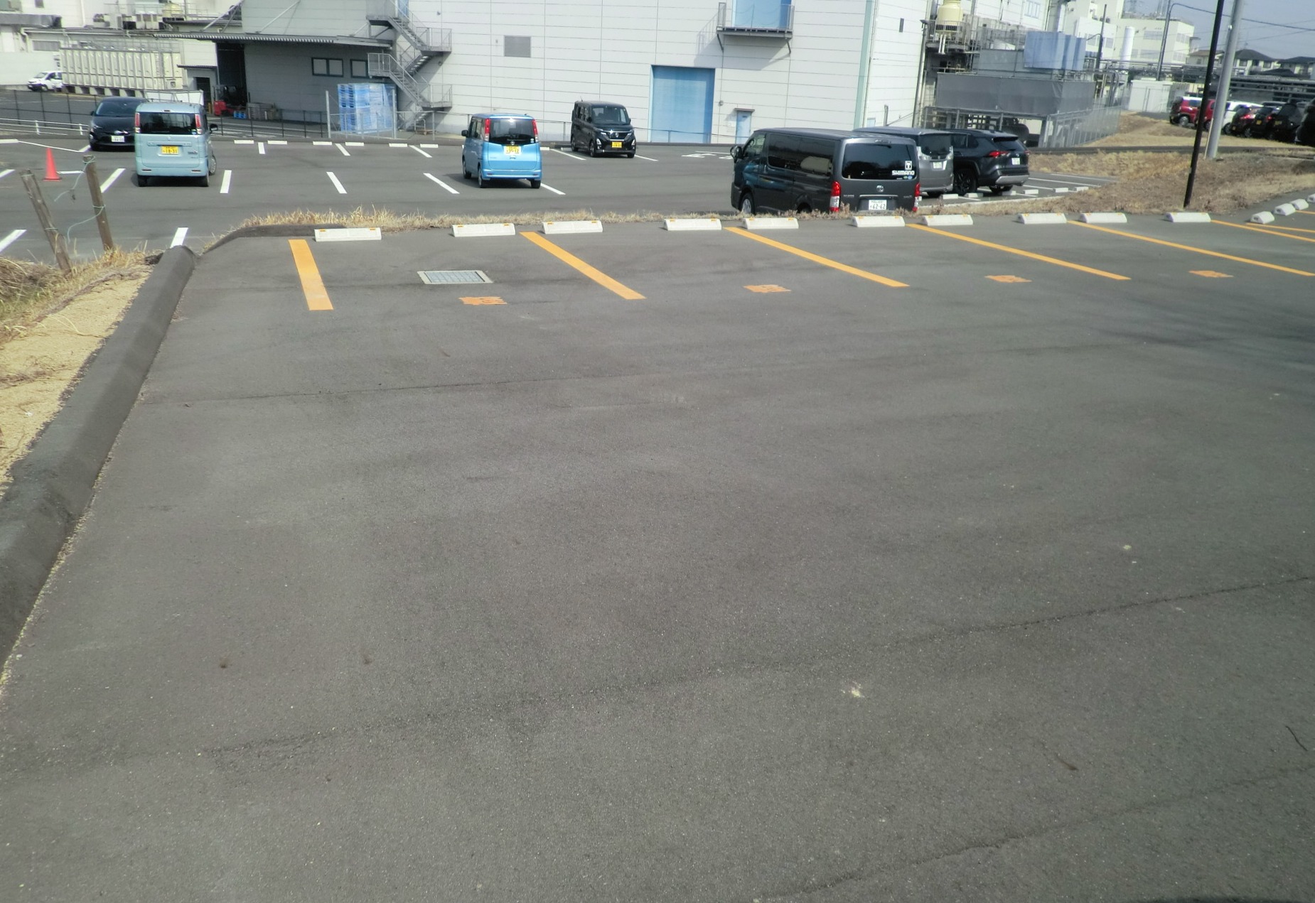 CIMG4532_Crop Image (1)