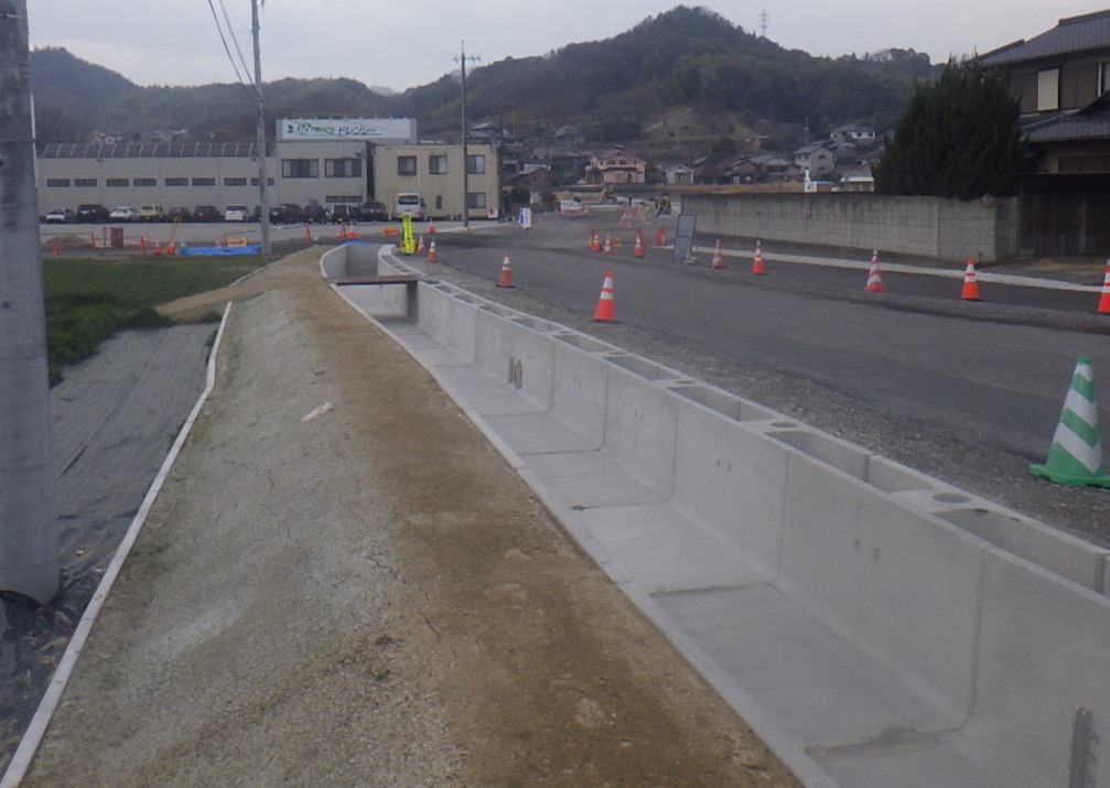 RIMG4543_Crop Image (1)