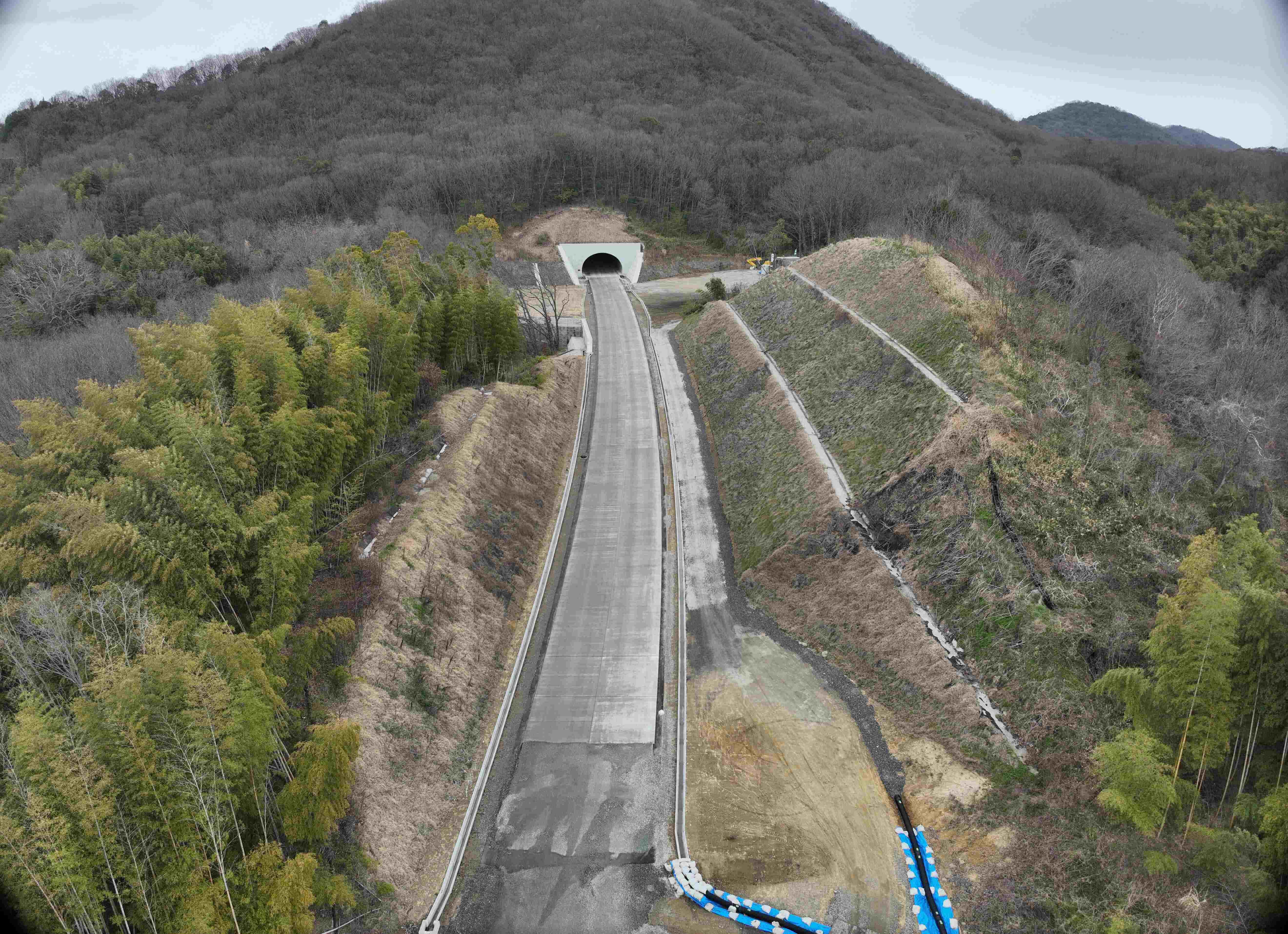 DJI_20250315133241_0014_V